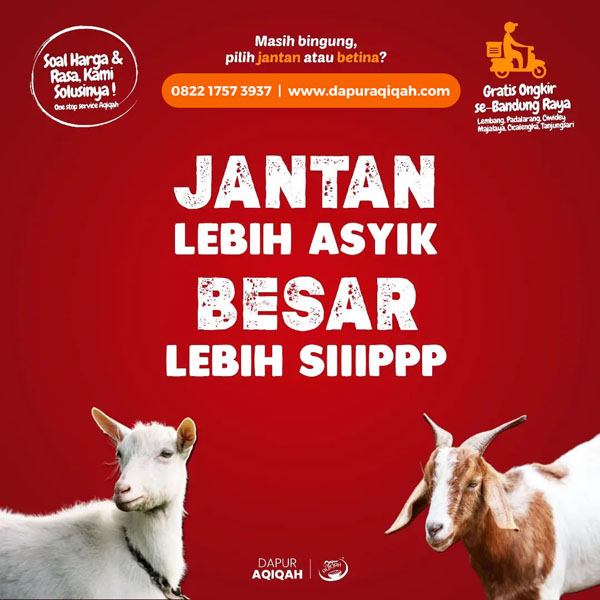 Harga kambing akikah murah di rumah aqiqah dapur aqiqah Pasteur, Bandung 